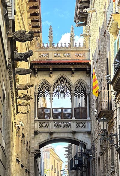 Barcelona Walking Tour Gothic Quarter Generalidad Gothic Bridge